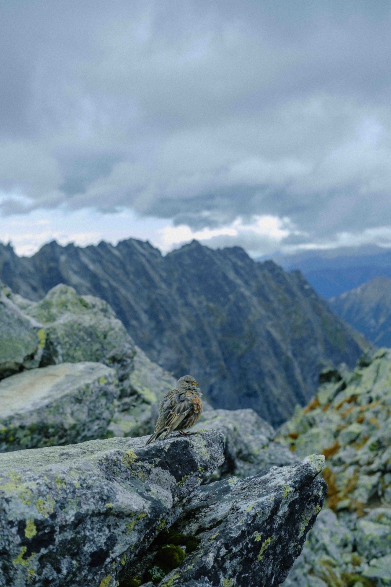 Expedition landscape photograph
