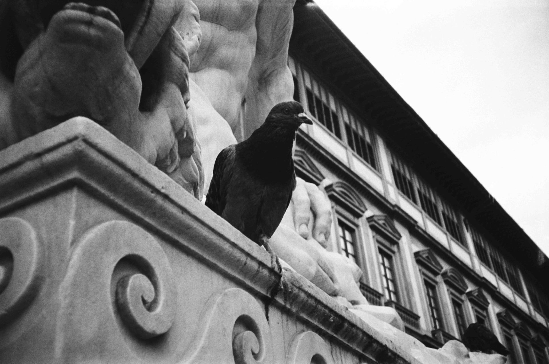 Fine art black and white photograph