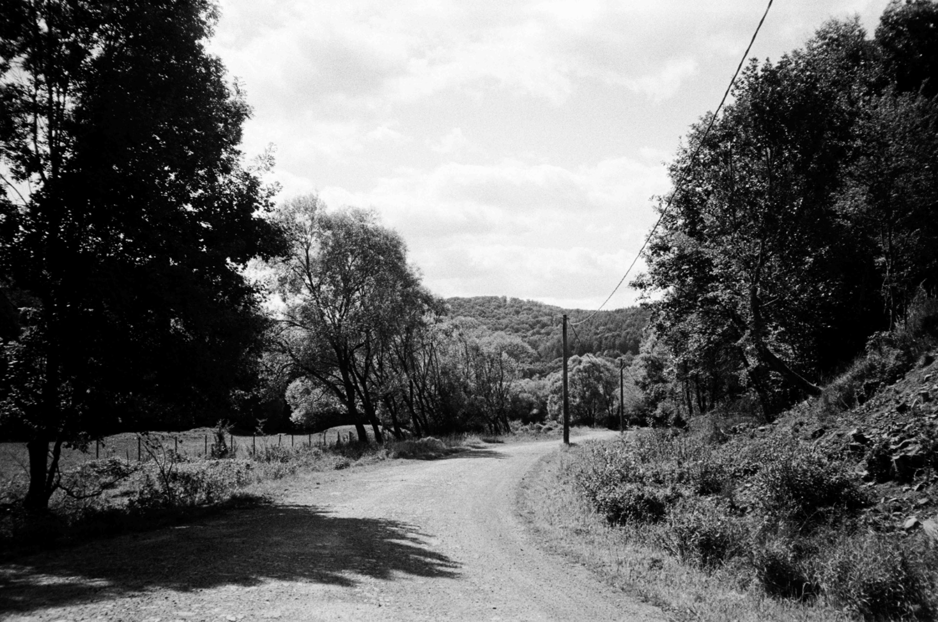 Fine art black and white photograph