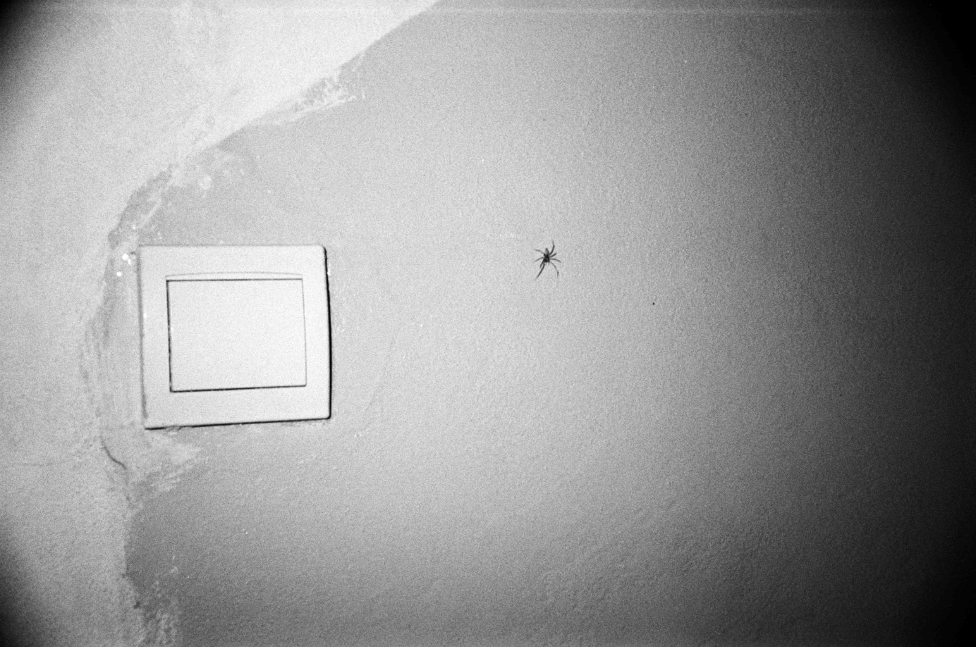 Fine art black and white photograph